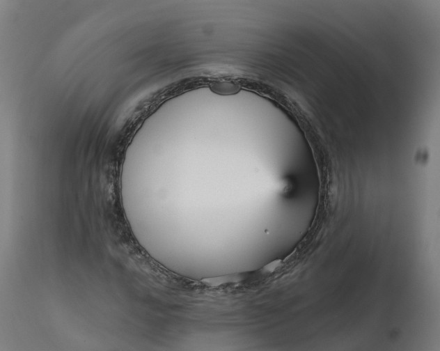 X0000112431016200908281857