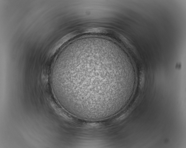 X0000112431017200908281857