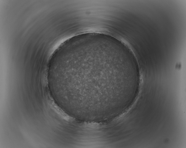 X0000112431019200908281857