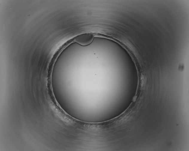 X0000112431020200908281857