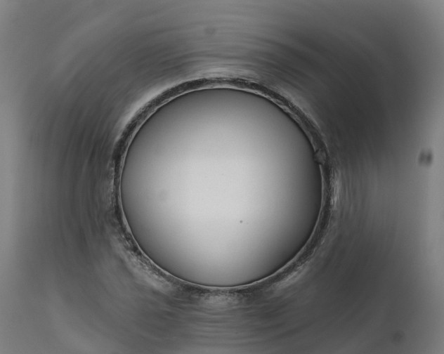 X0000112431021200908281857