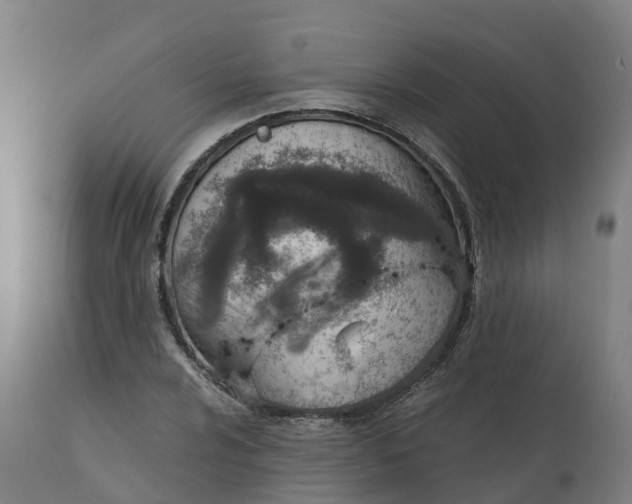 X0000112431024200908281857