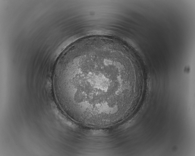 X0000112431025200908281857