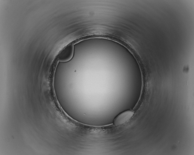 X0000112431026200908281857