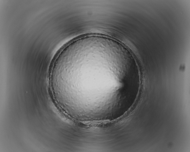 X0000112431028200908281857