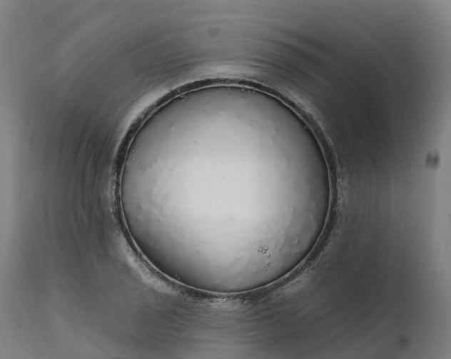 X0000112431029200908281857