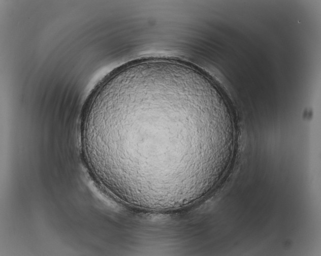 X0000112431030200908281857