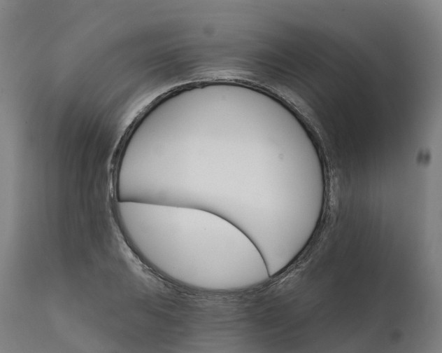 X0000112431031200908281857