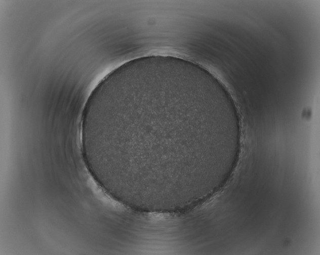 X0000112431032200908281857