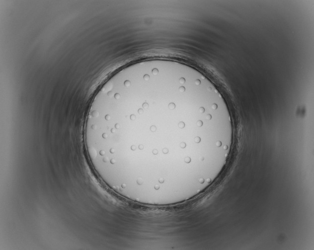 X0000112431033200908281857