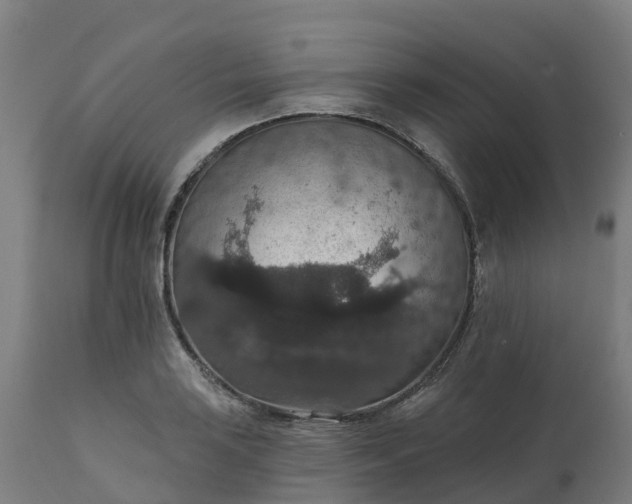 X0000112431035200908281857