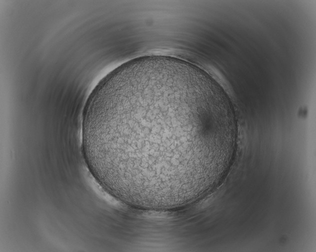 X0000112431036200908281857