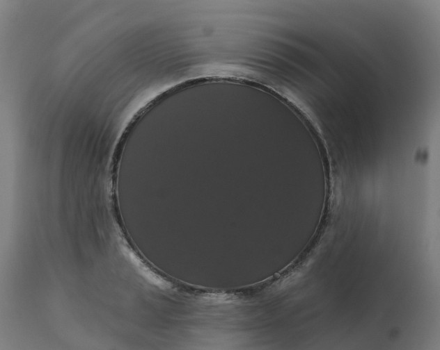 X0000112431037200908281857