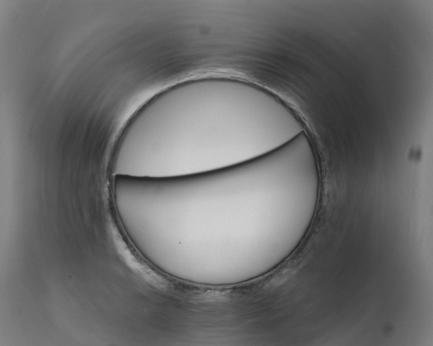 X0000112431038200908281857