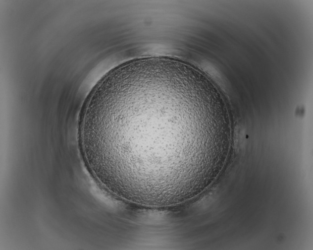 X0000112431039200908281857