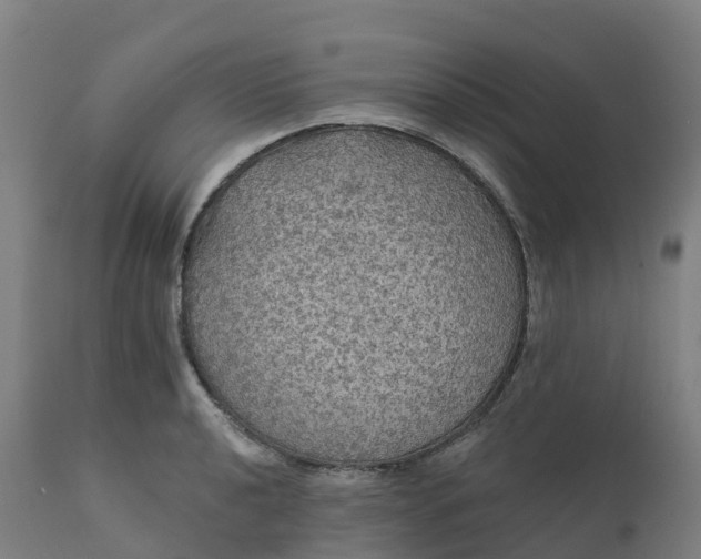 X0000112431040200908281857