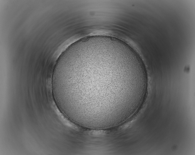 X0000112431041200908281857