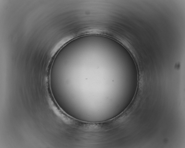 X0000112431042200908281857