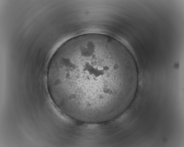 X0000112431043200908281857