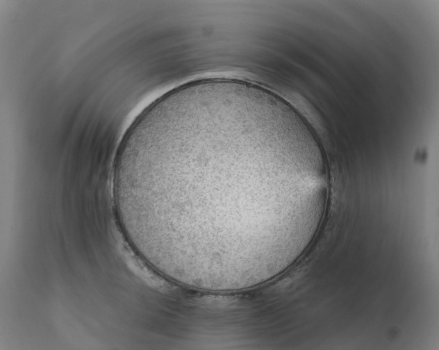 X0000112431044200908281857