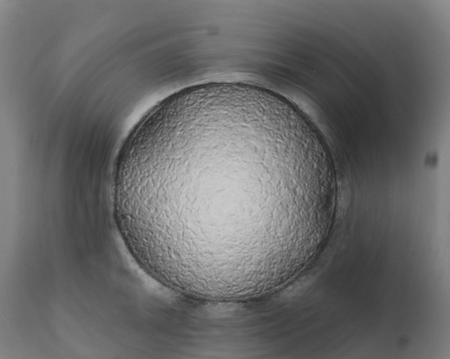 X0000112431046200908281857