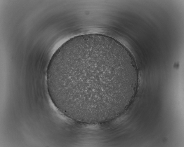 X0000112431047200908281857