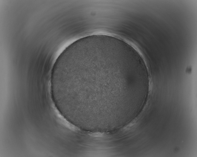 X0000112431048200908281858