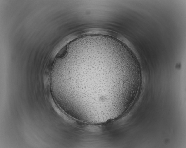 X0000112431049200908281858