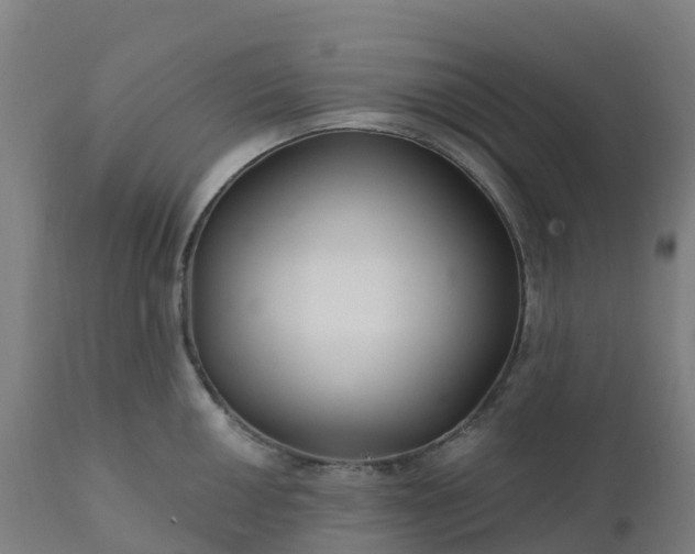 X0000112431050200908281858