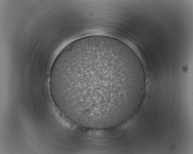 X0000112431051200908281858