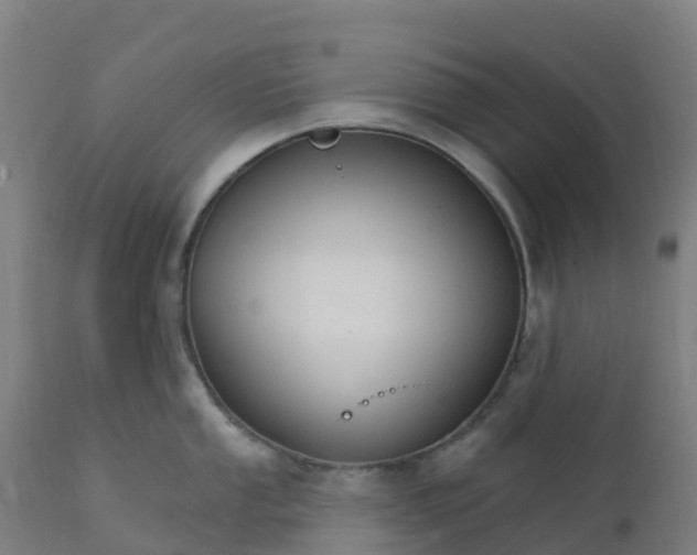 X0000112431053200908281858