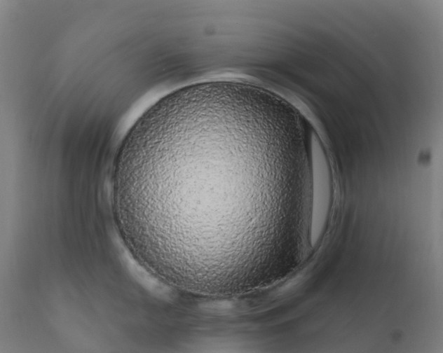 X0000112431054200908281858