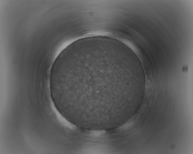 X0000112431055200908281858