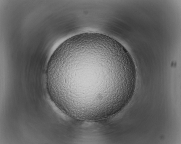 X0000112431056200908281858