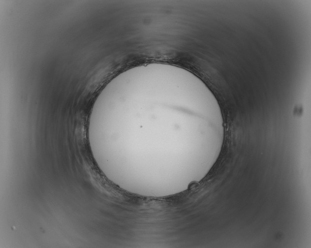 X0000112431058200908281857