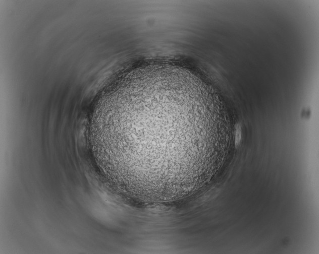 X0000112431059200908281857