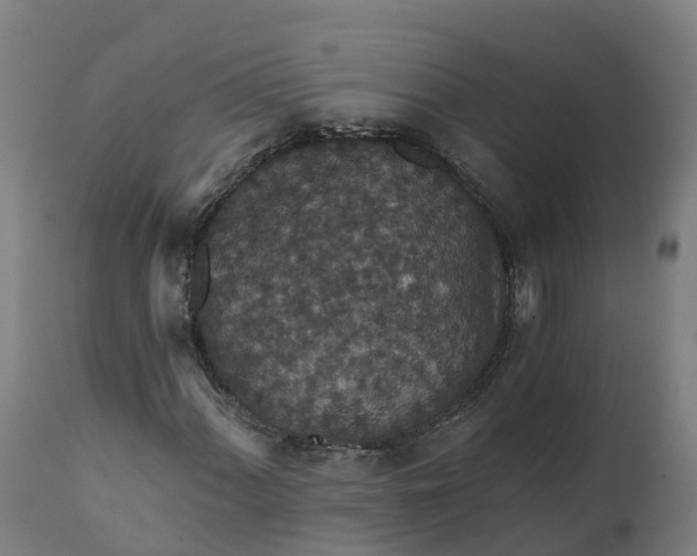 X0000112431060200908281857