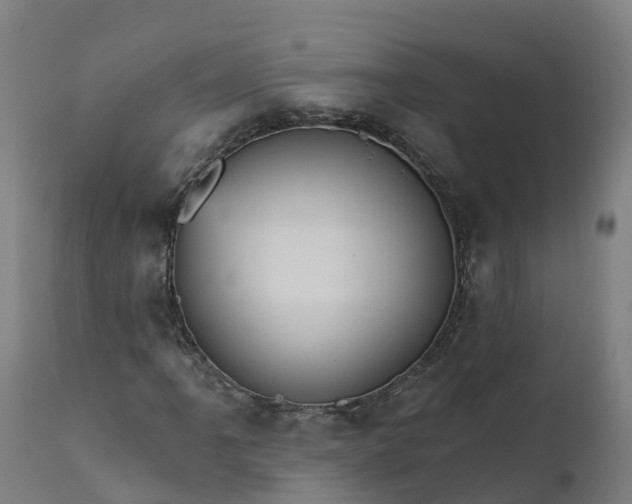 X0000112431061200908281857