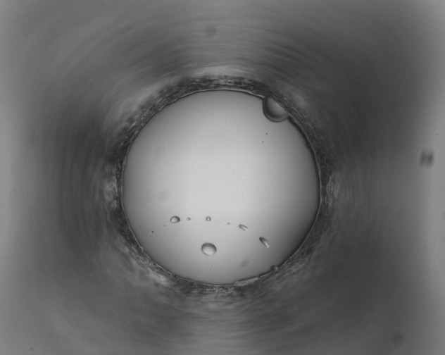 X0000112431062200908281857