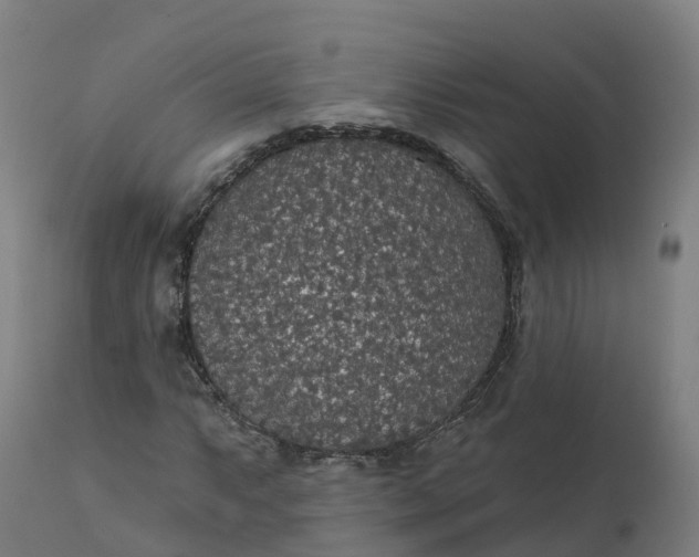 X0000112431063200908281857