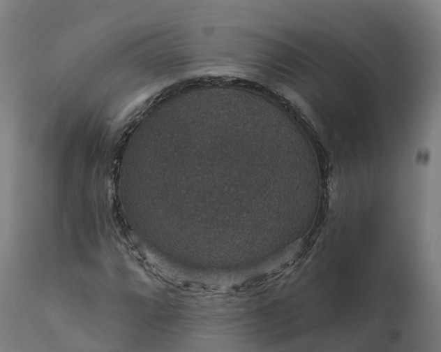 X0000112431064200908281857