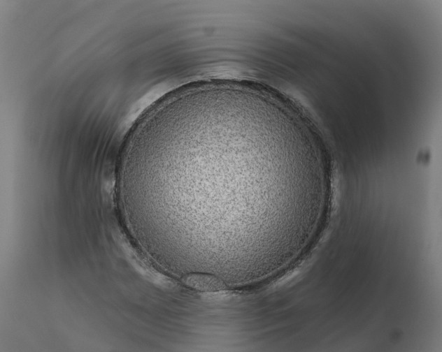 X0000112431065200908281857