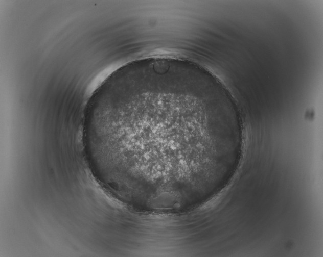 X0000112431066200908281857