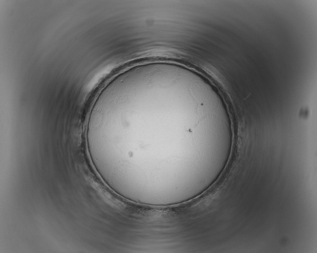 X0000112431067200908281857