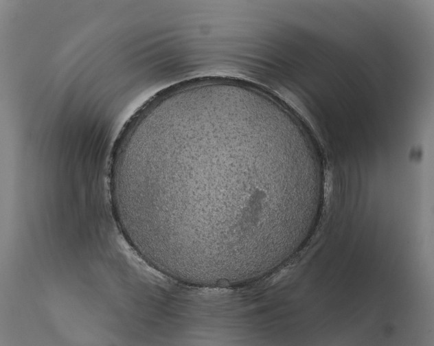 X0000112431068200908281857