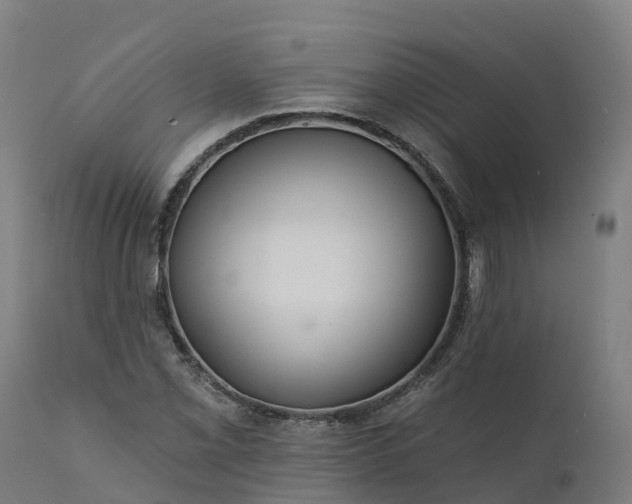 X0000112431069200908281857