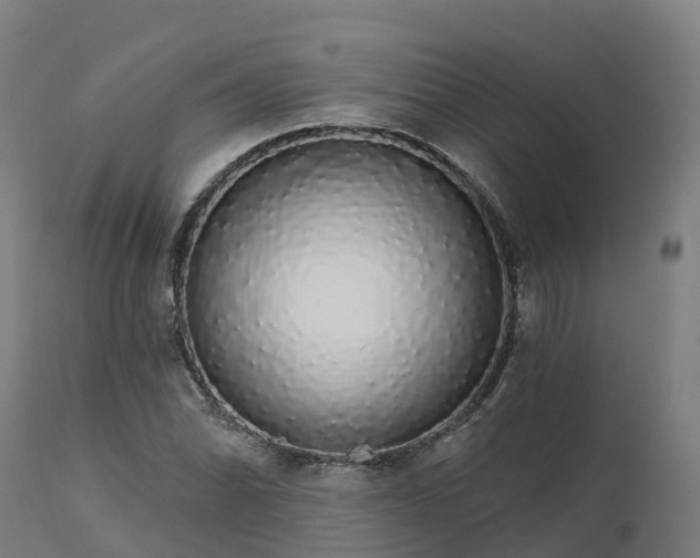 X0000112431070200908281857