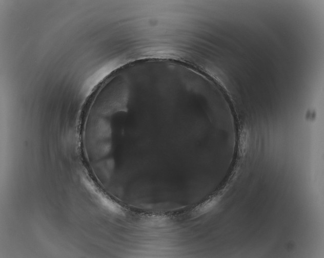 X0000112431071200908281857