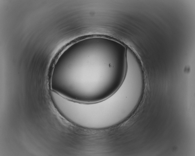 X0000112431072200908281857