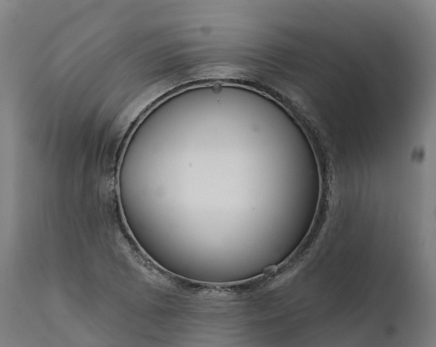 X0000112431073200908281857